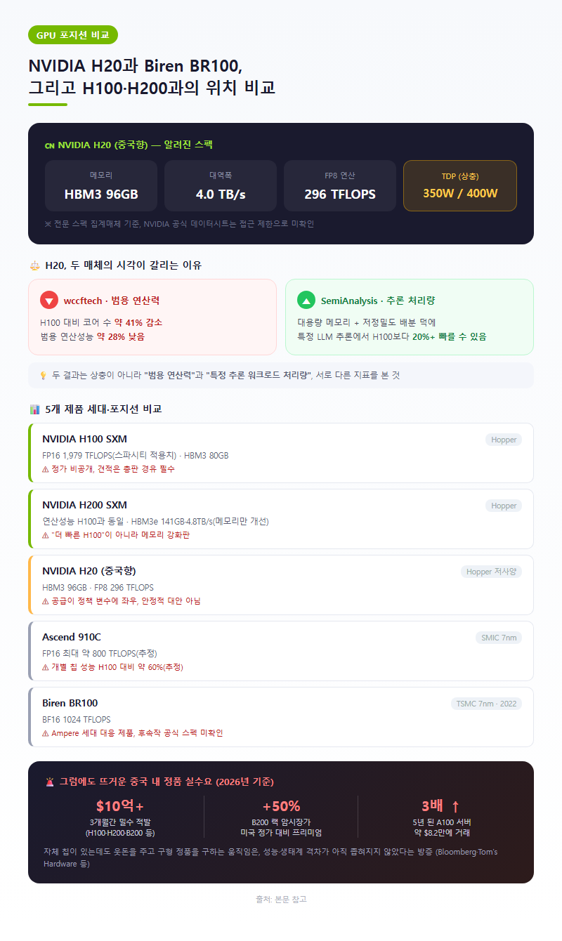 4. NVIDIA H20과 Biren BR100, 그리고 H100·H200과의 위치 비교
