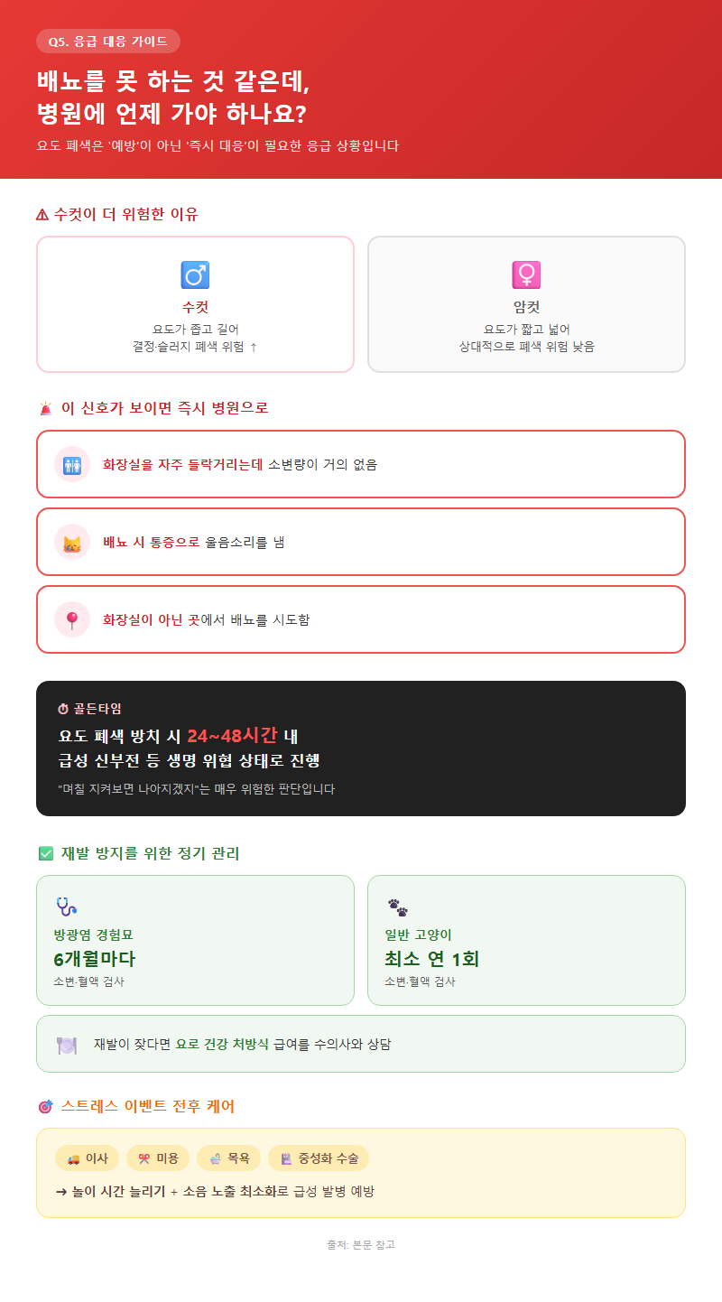 Q5. 배뇨를 못 하는 것 같은데, 병원에 언제 가야 하나요?