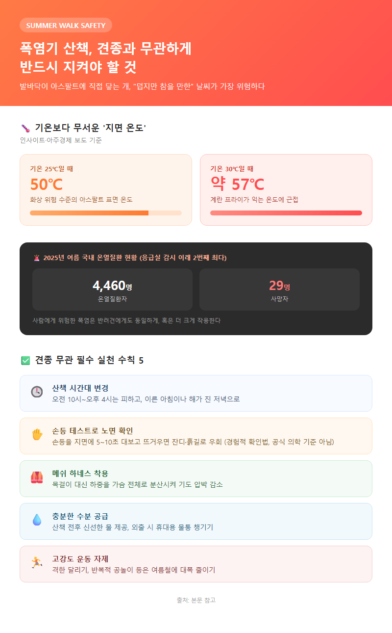 4. 폭염기 산책, 견종과 무관하게 반드시 지켜야 할 것