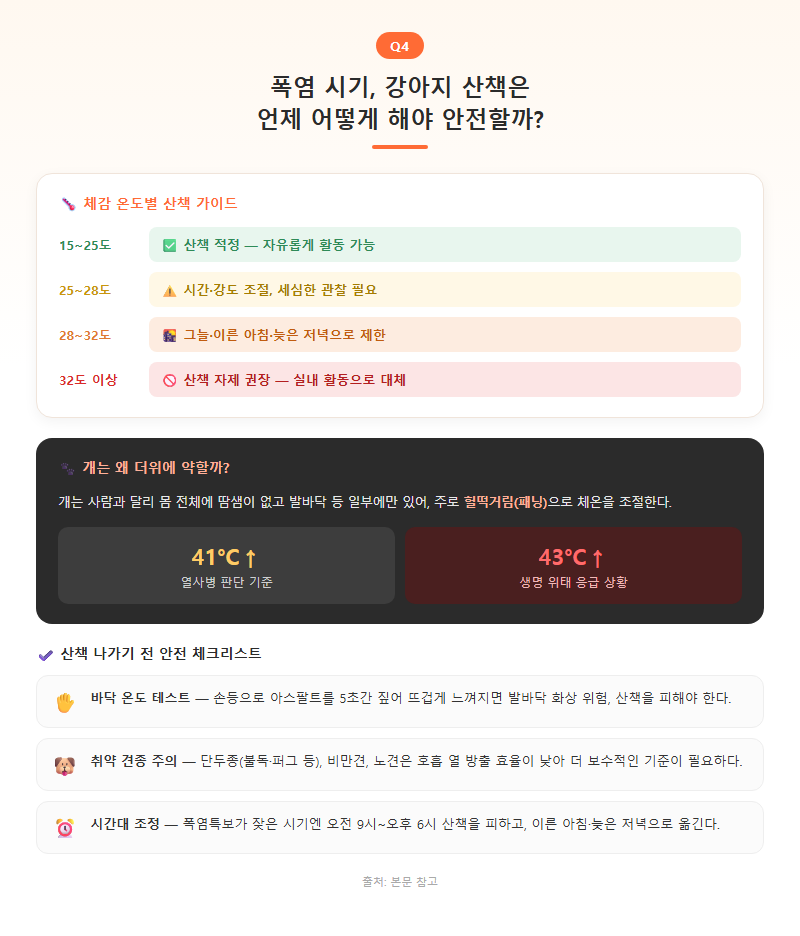 Q4. 폭염 시기에는 산책을 언제, 어떻게 해야 안전한가요?