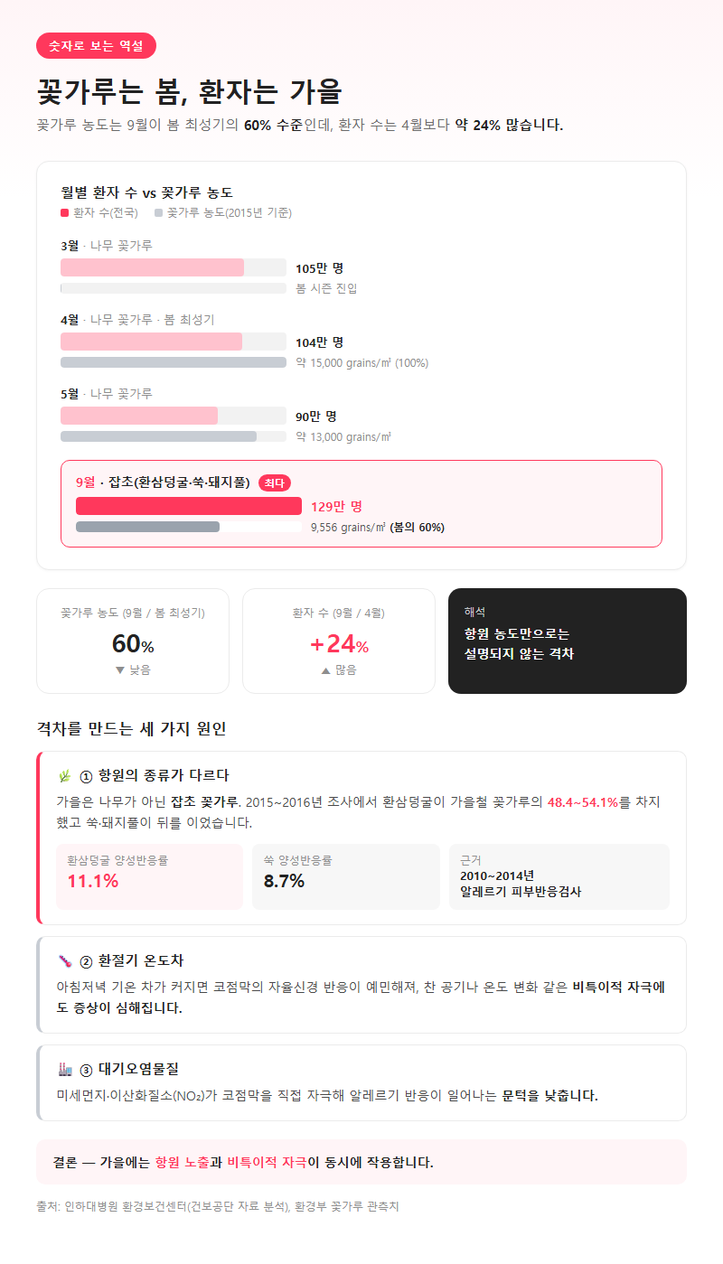 1. 숫자로 보는 역설: 꽃가루는 봄, 환자는 가을