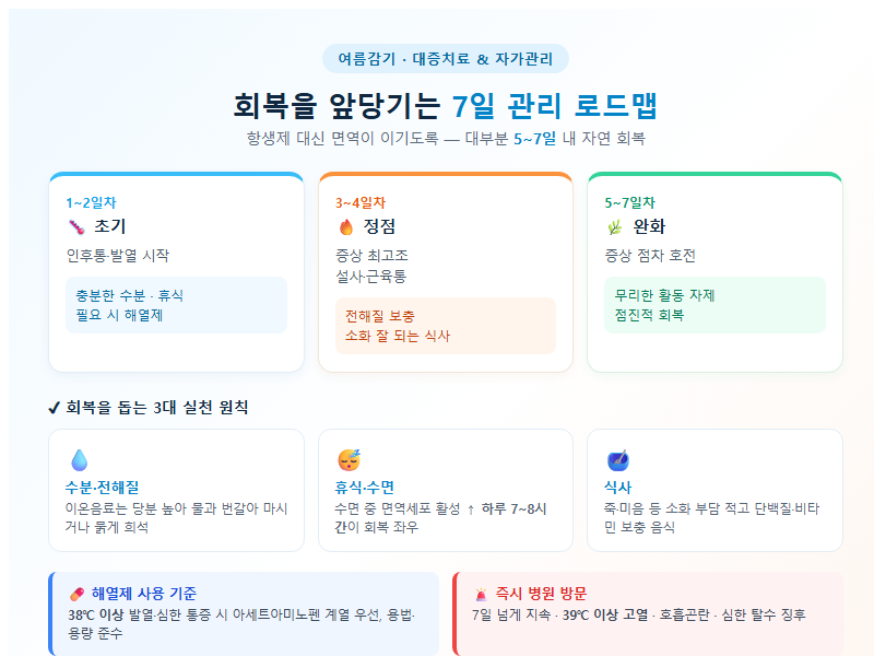 4. 회복을 앞당기는 7일 관리 로드맵
