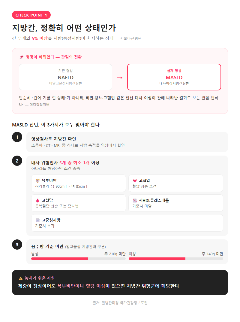 1. 지방간, 정확히 어떤 상태인가