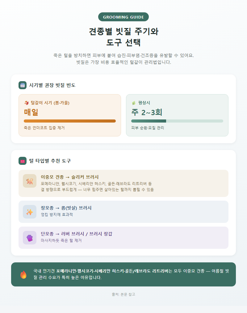 2. 견종별 빗질 주기와 도구 선택