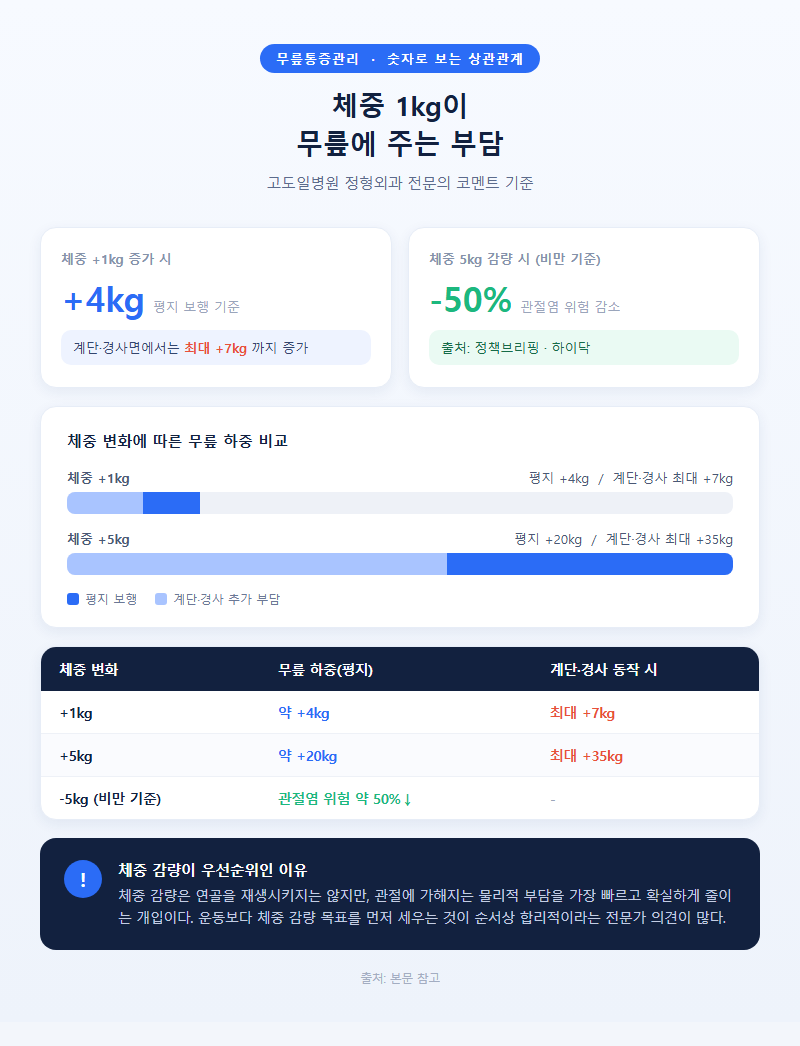 3. 체중 1kg이 무릎에 주는 부담 — 숫자로 보는 상관관계