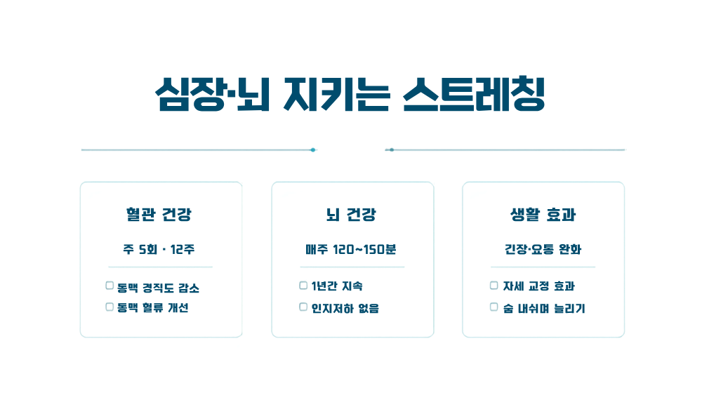 3. 스트레칭이 심장과 뇌까지 지킨다 — 연구로 확인된 전신 건강 효과