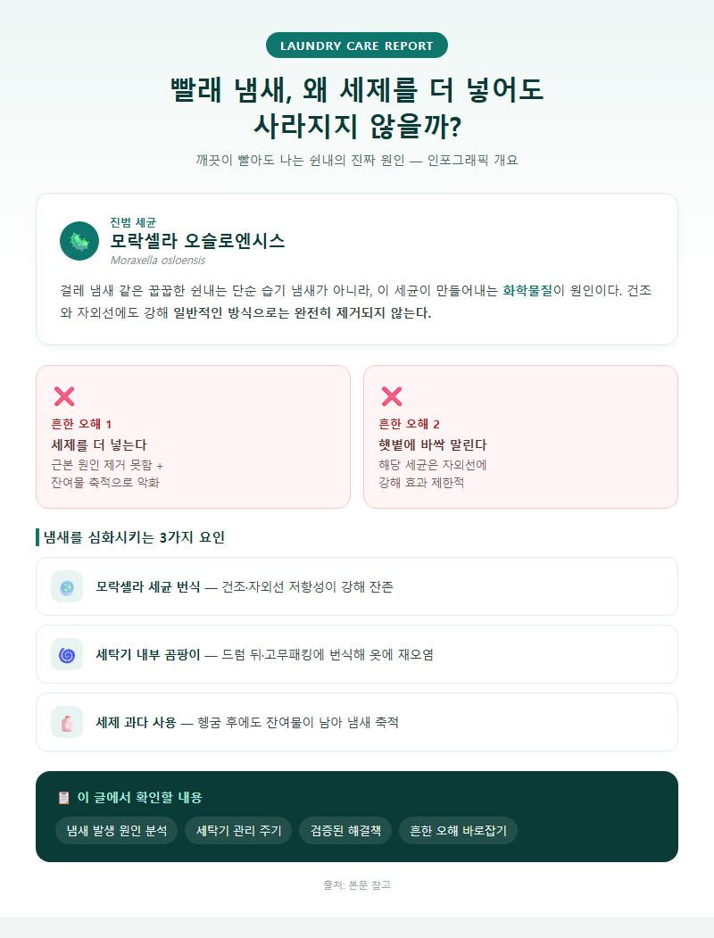 빨래냄새제거 개요