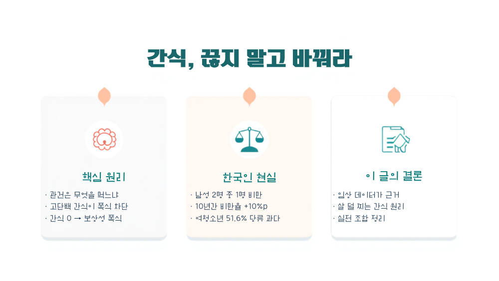 다이어트간식 개요