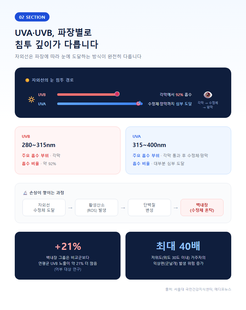 2. UVA·UVB, 파장별로 침투 깊이가 다릅니다