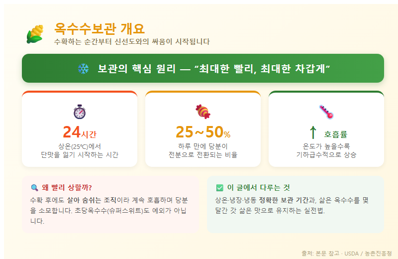 옥수수보관 개요