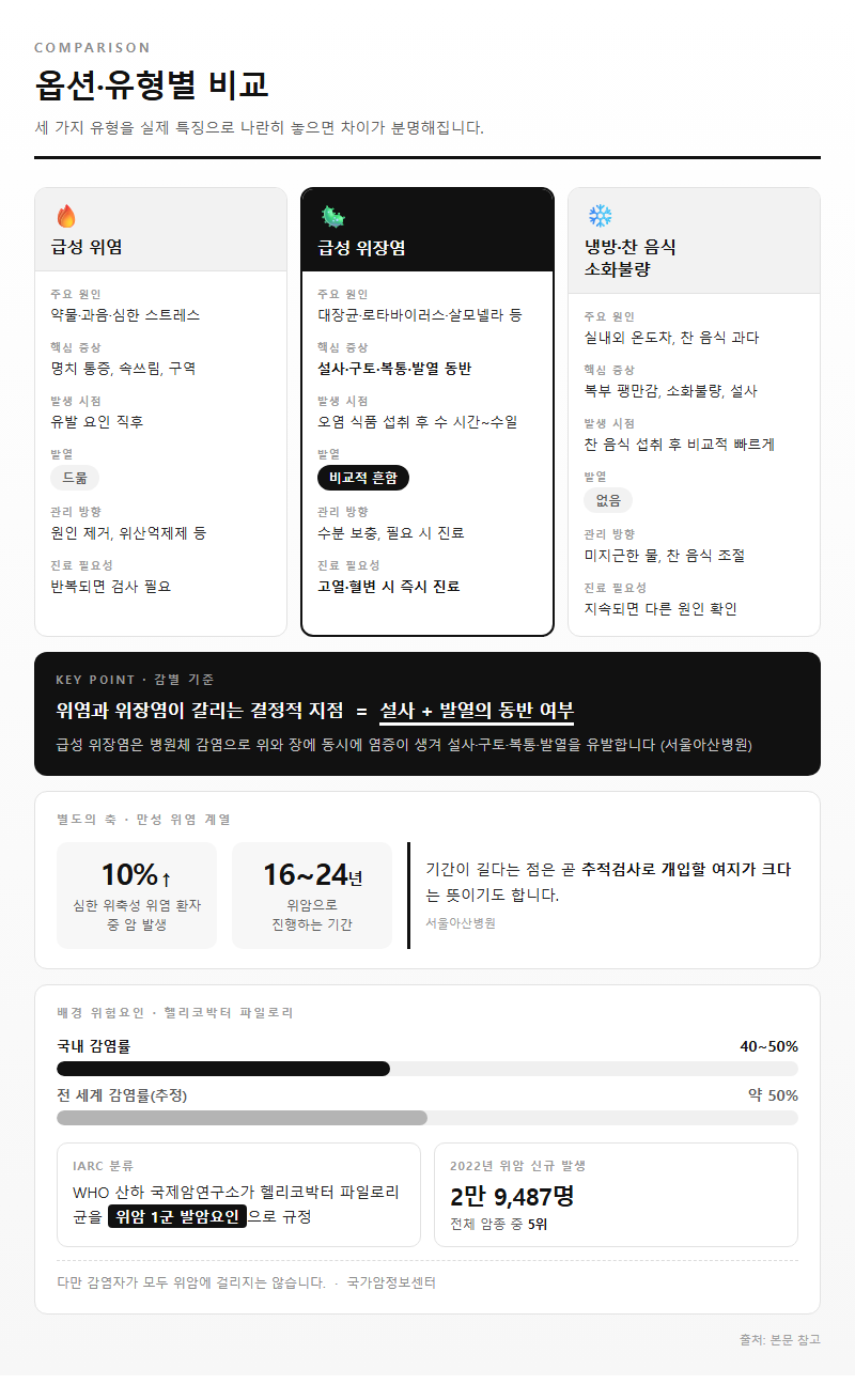 옵션·유형별 비교