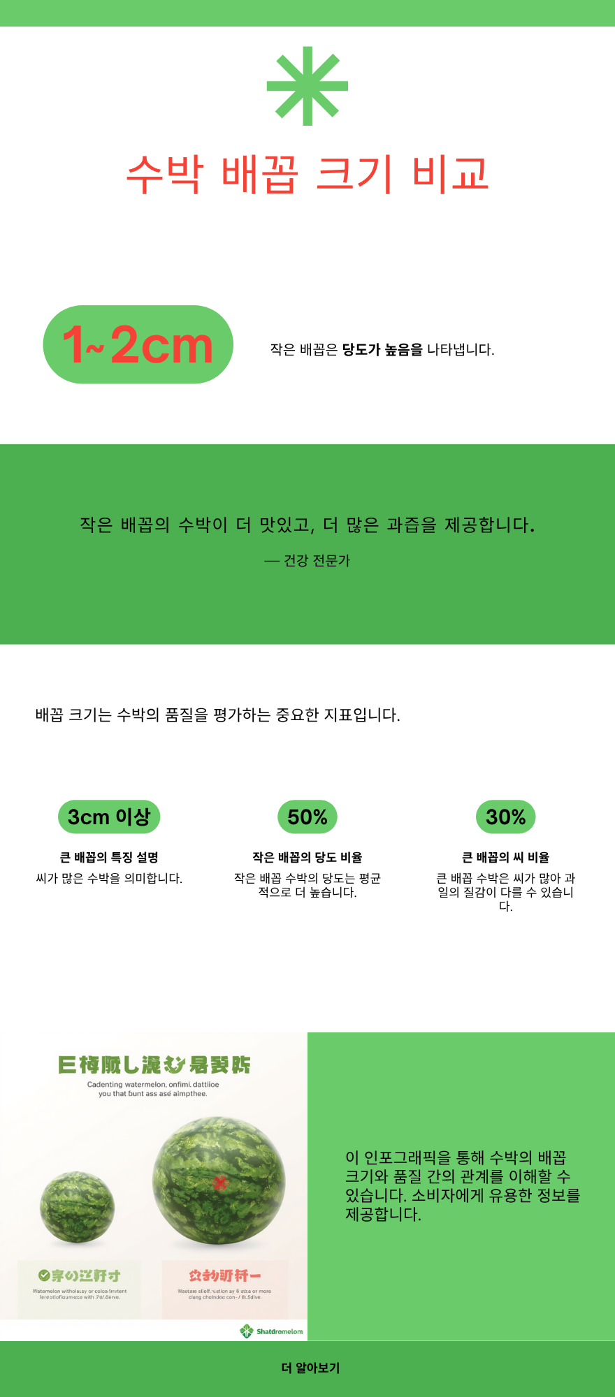 수박 배꼽 크기 비교 — 작은 배꼽(당도 높음) vs 큰 배꼽(씨 많음)