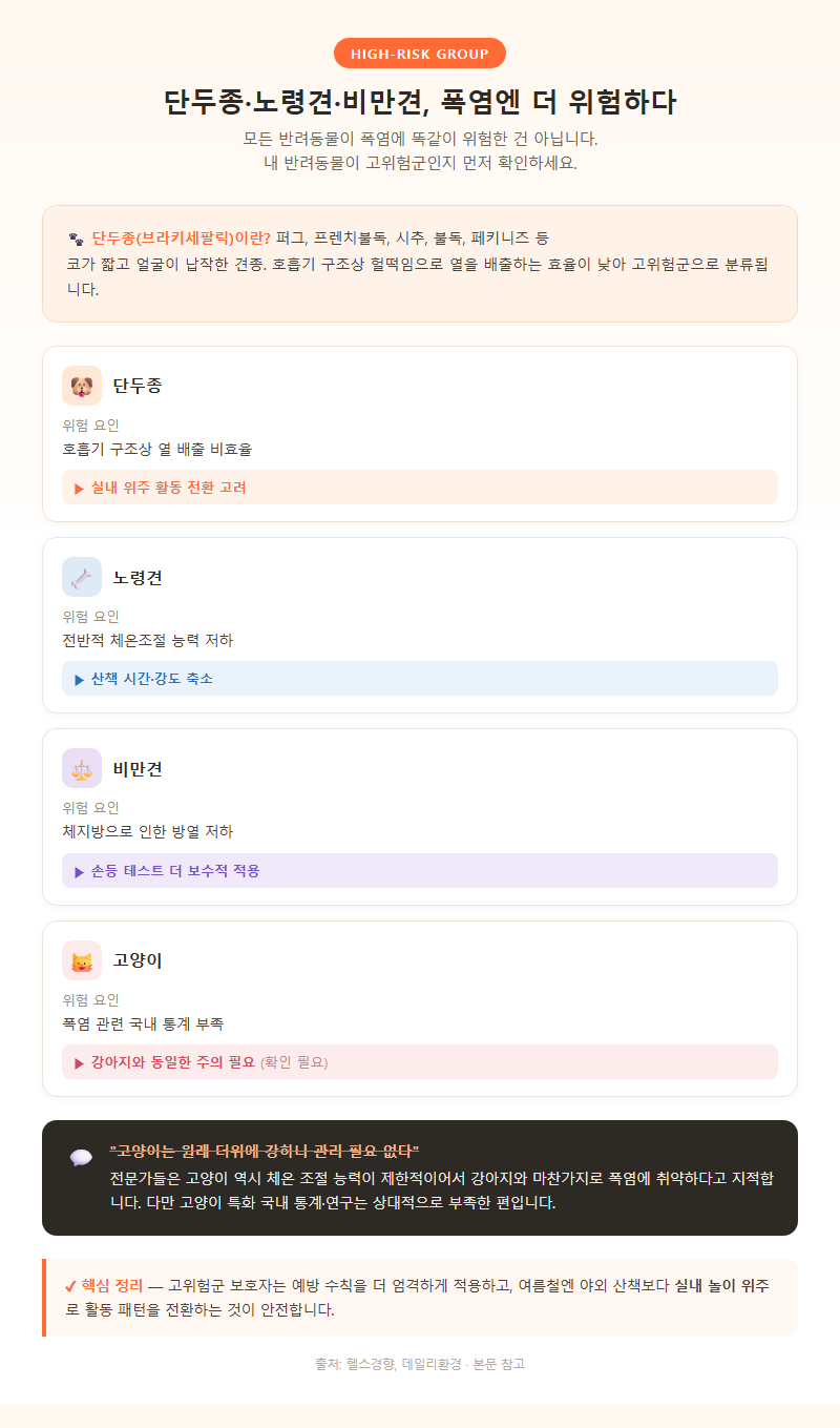 4. 단두종·노령견·비만견 고위험군 맞춤 관리