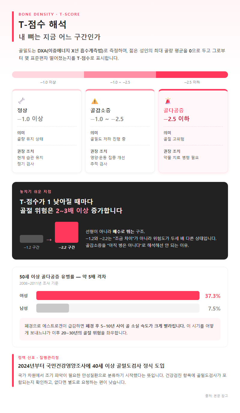 1. 내 T-점수 읽는 법 — 정상·골감소증·골다공증 경계선