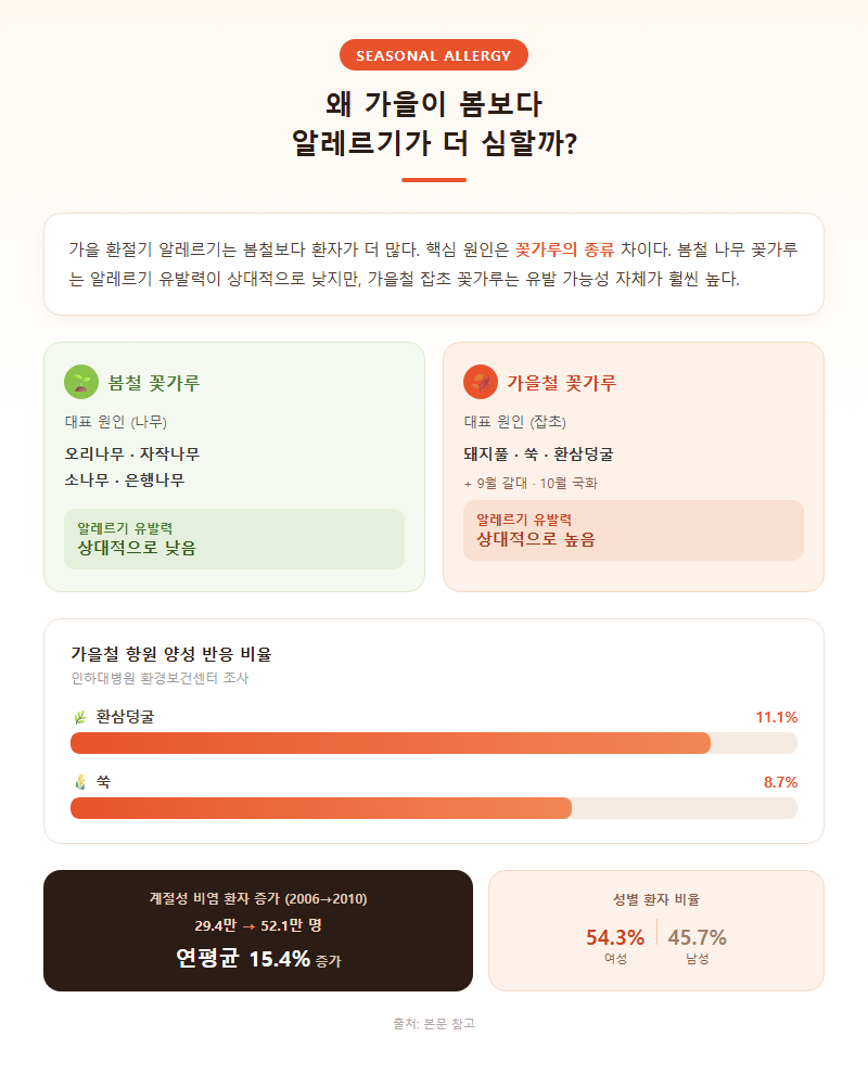 1. 왜 가을이 봄보다 알레르기가 더 심한가
