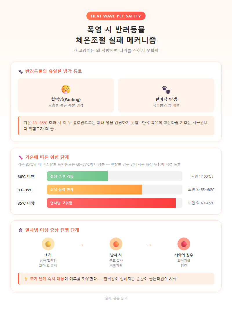 1. 폭염 시 반려동물 체온조절 실패 메커니즘