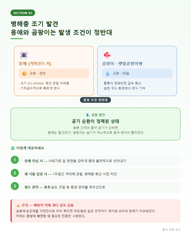 3. 병해충 조기 발견 — 응애와 곰팡이는 발생 조건이 정반대