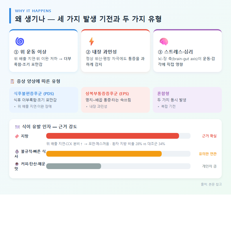 2. 왜 생기나 — 세 가지 발생 기전과 두 가지 유형