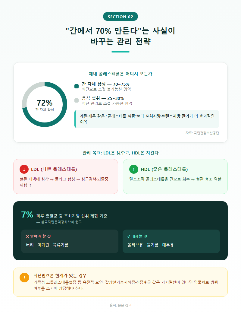 2. "간에서 70% 만든다"는 사실이 바꾸는 관리 전략