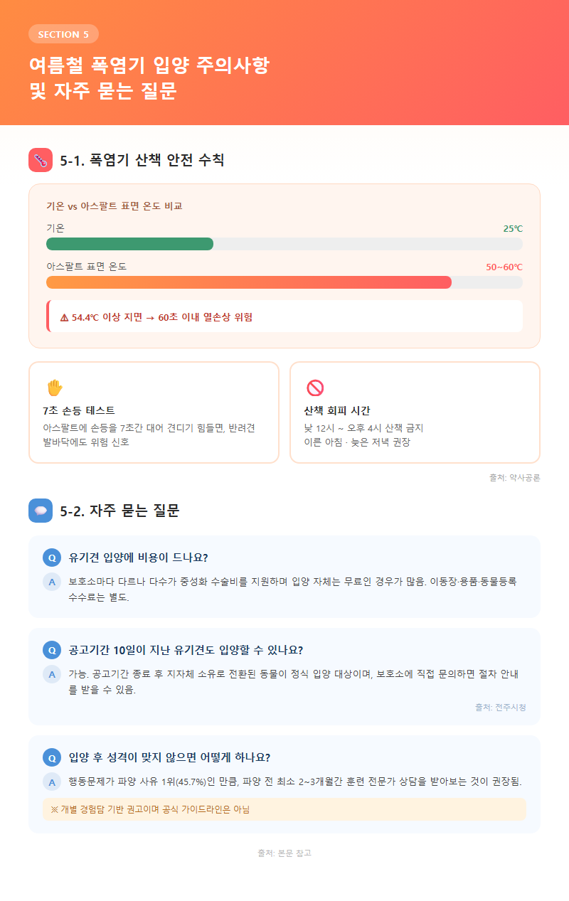 5. 여름철 폭염기 입양 주의사항 및 자주 묻는 질문