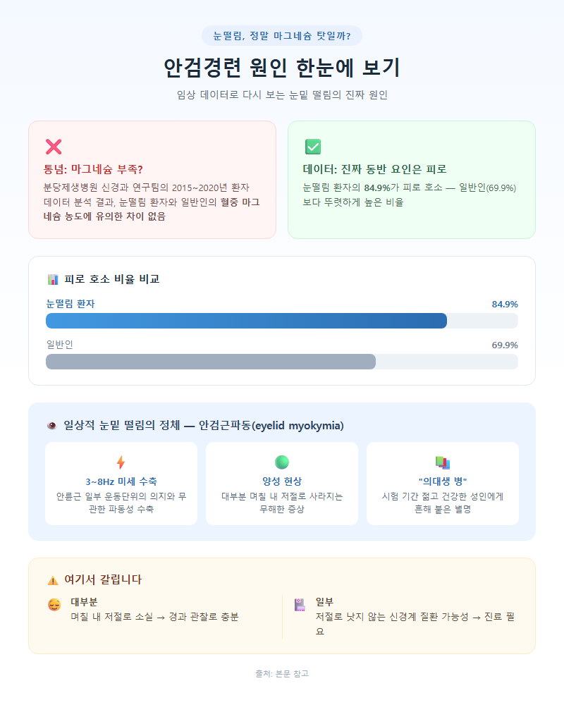 안검경련원인 개요