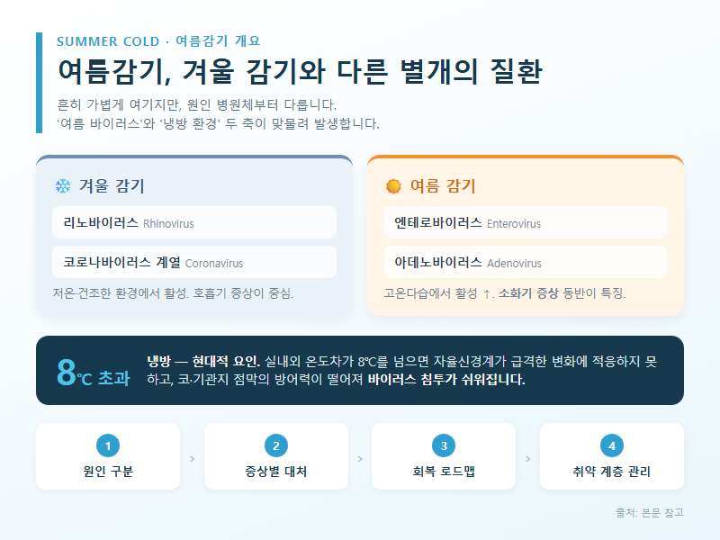 여름감기 개요