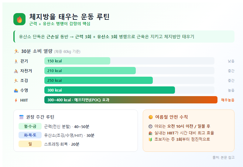 3. 체지방을 태우는 운동 루틴