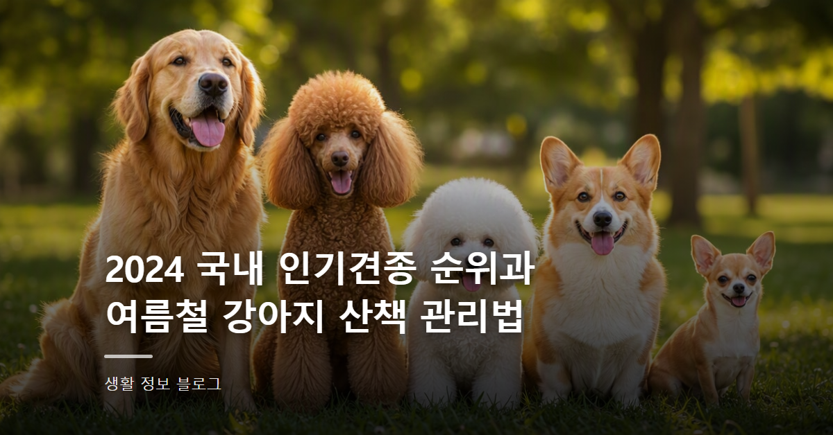2024 국내 인기견종 순위과 여름철 강아지 산책 관리법