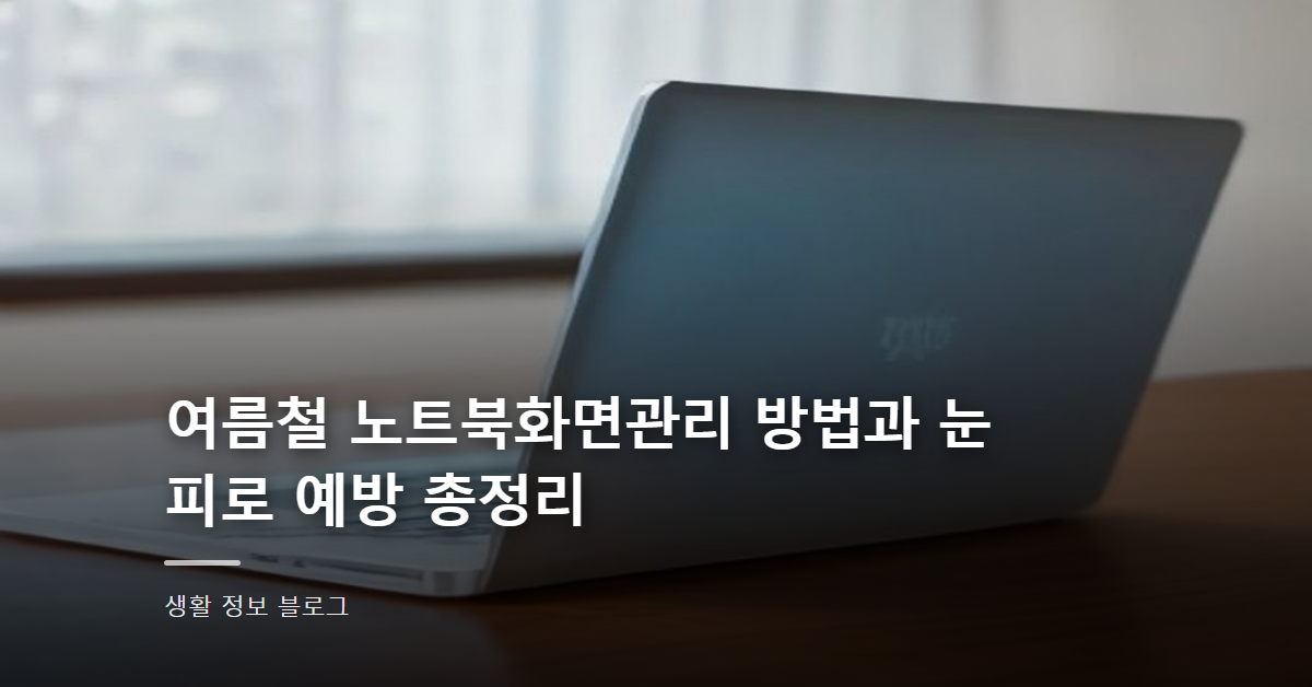 여름철 노트북화면관리 방법과 눈 피로 예방 총정리