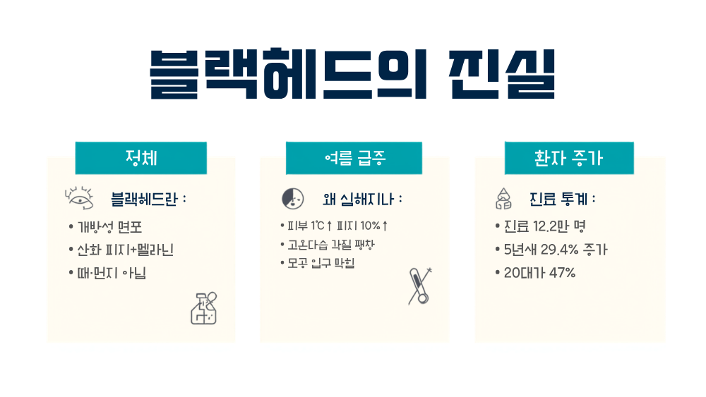 블랙헤드제거 개요