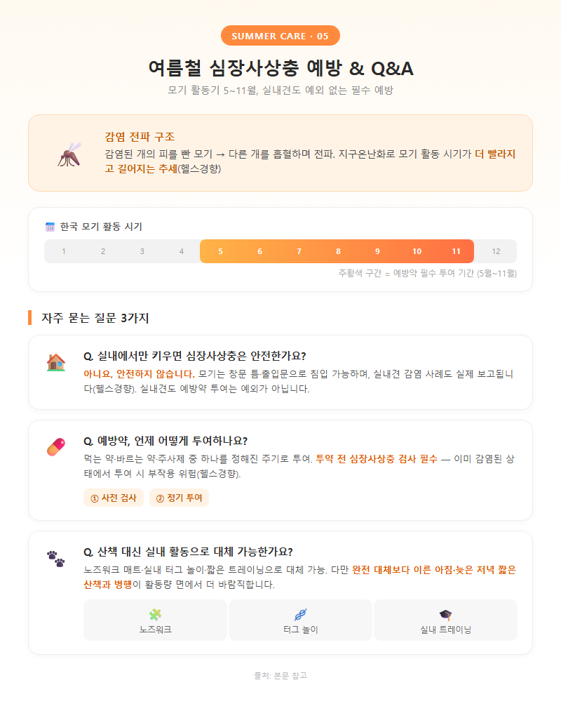 5. 여름철 심장사상충 예방과 자주 묻는 질문