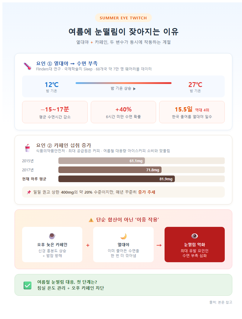3. 여름에 눈떨림이 잦아지는 이유