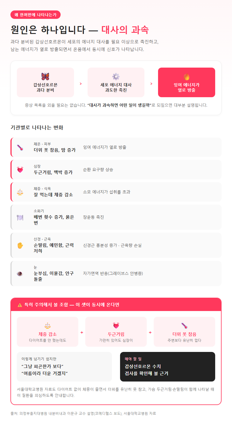 1. 대사가 빨라지면 몸에서 무슨 일이 생기는가