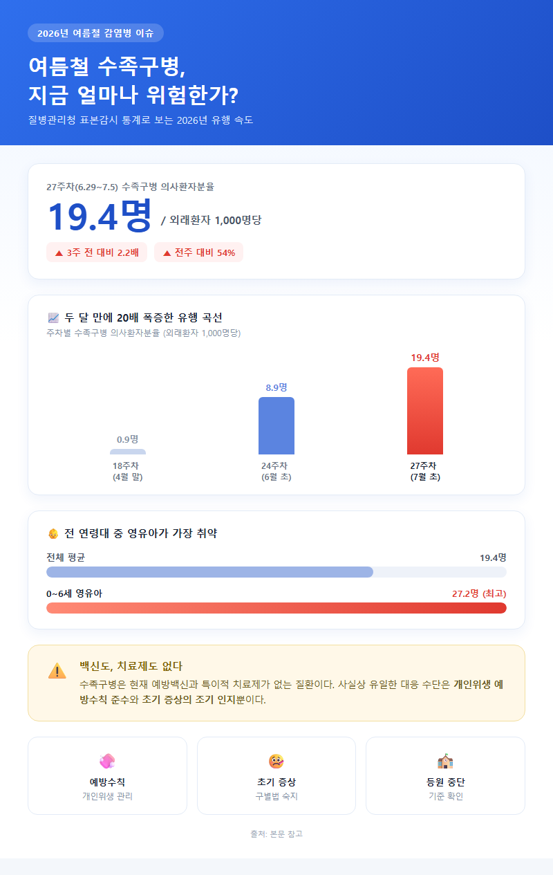 여름철수족구예방 개요