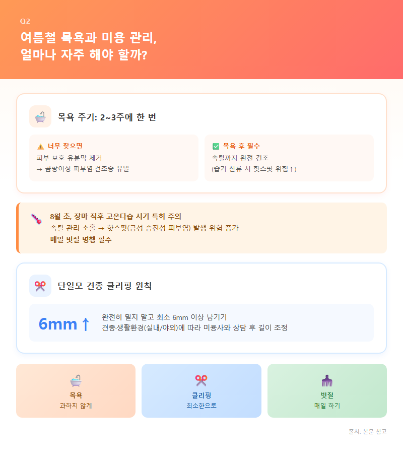 Q2. 여름철 목욕과 미용 관리는 얼마나 자주 해야 하나요?