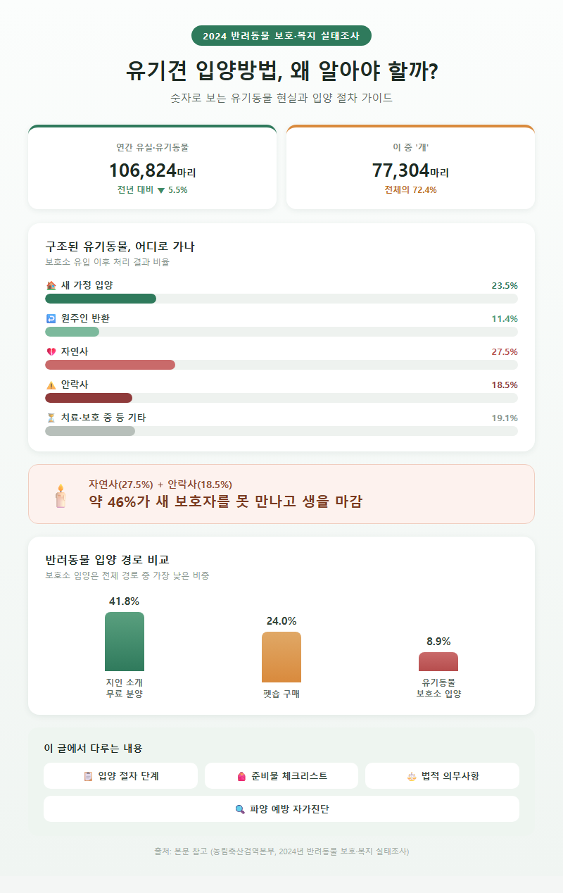 유기견입양방법 개요