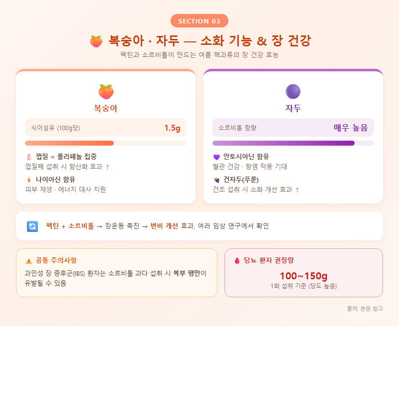3. 복숭아·자두 — 소화 기능 및 장 건강 효능