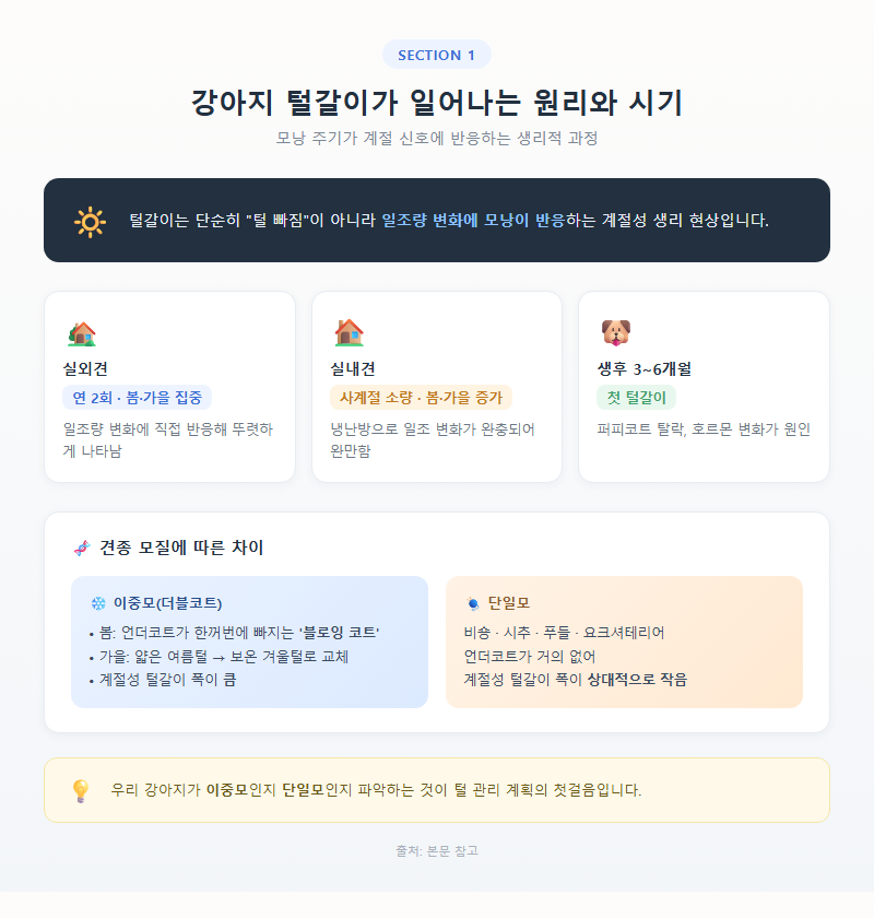 1. 강아지 털갈이가 일어나는 원리와 시기