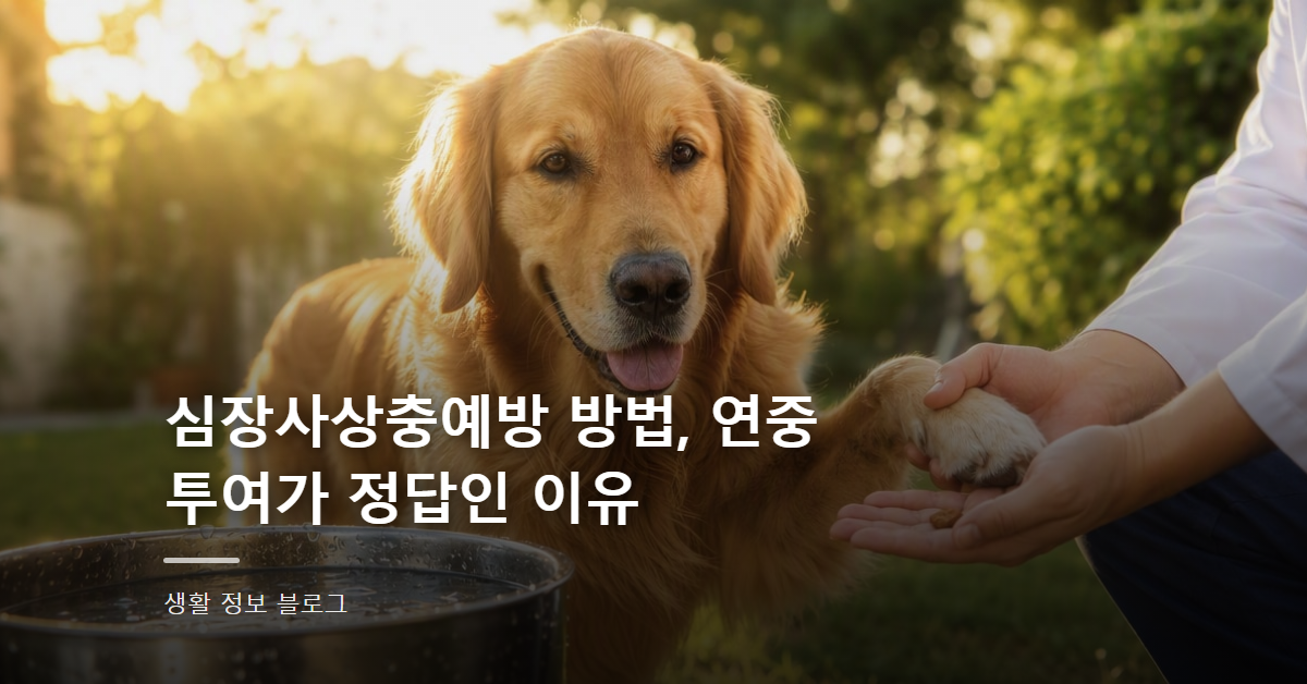 심장사상충예방 방법, 연중 투여가 정답인 이유