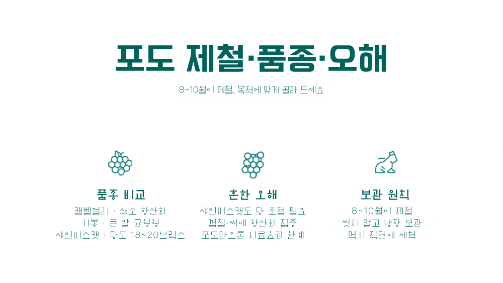 5. 한국 제철 품종 비교와 자주 하는 오해
