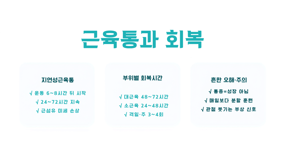 3. 근육통과 회복 — '아파야 운동이 됐다'는 오해