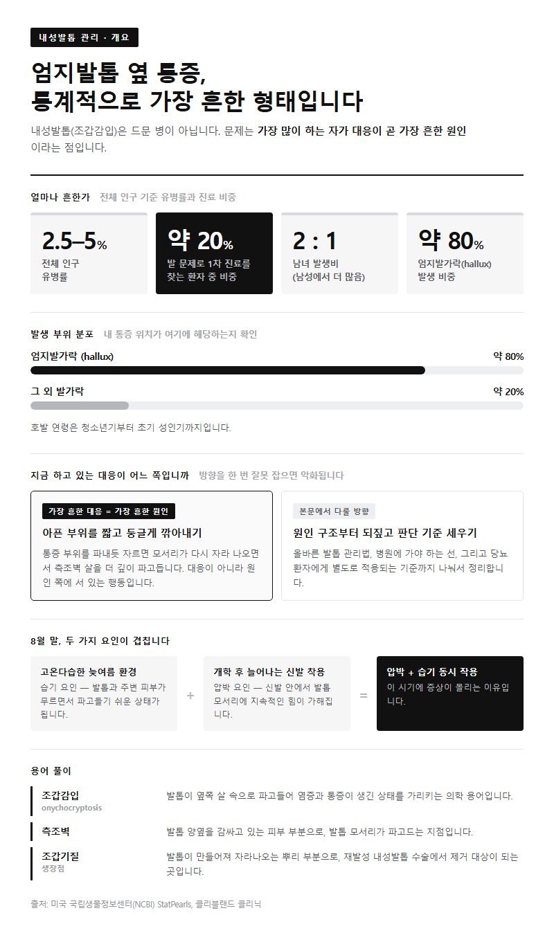 내성발톱관리 개요