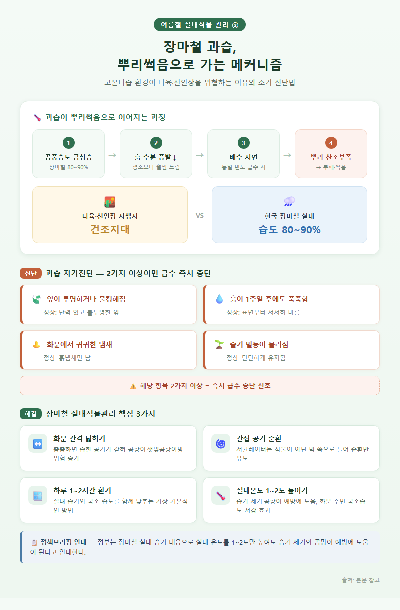 2. 장마철 과습, 뿌리썩음으로 가는 메커니즘