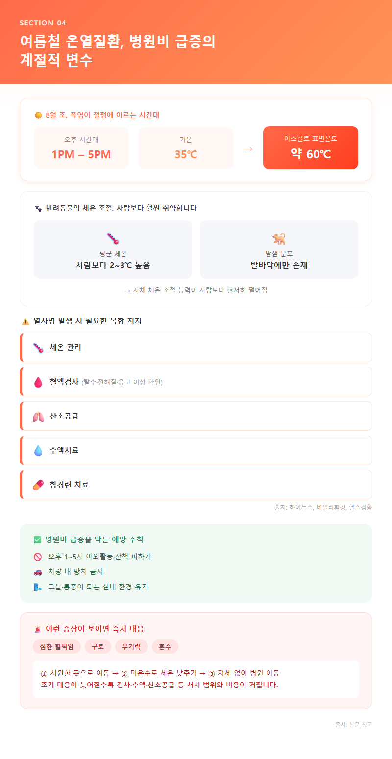4. 여름철 온열질환, 병원비 급증의 계절적 변수