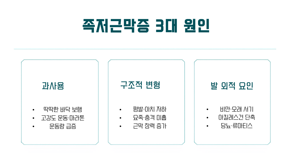 2. 왜 생기나 — 족저근막의 구조와 3대 원인