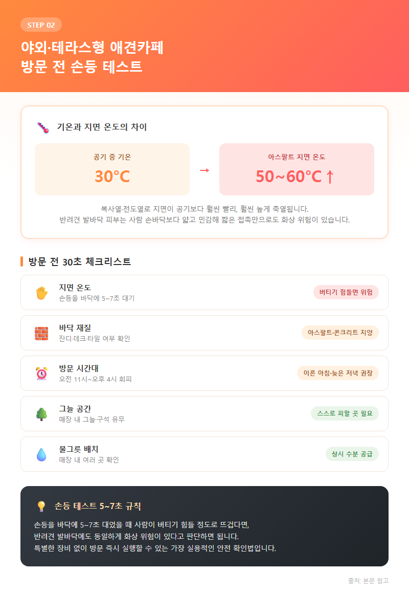 2. 야외·테라스형 애견카페 방문 전 손등 테스트