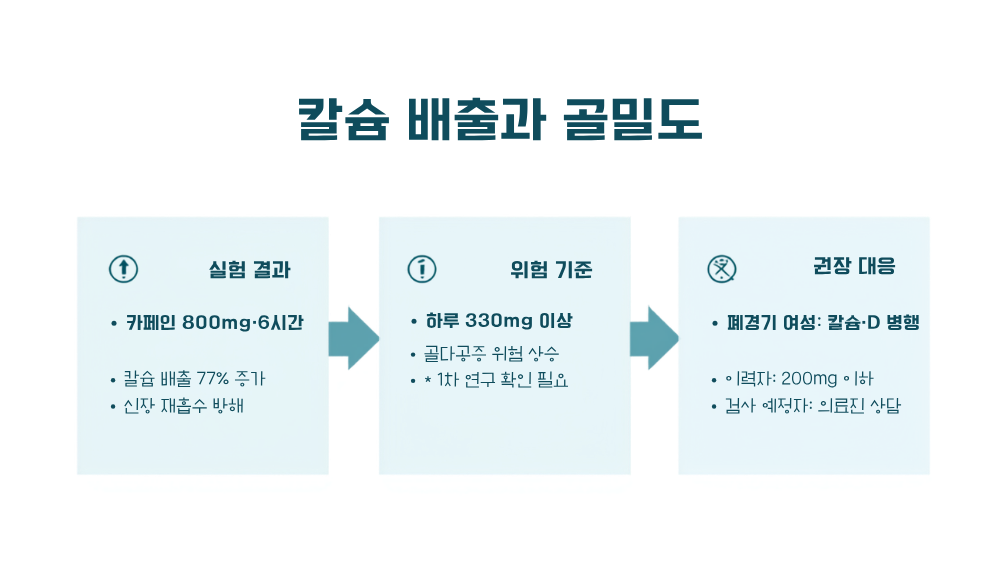 4. 칼슘 배출과 골밀도, 장기 과다 섭취 시 주의할 점