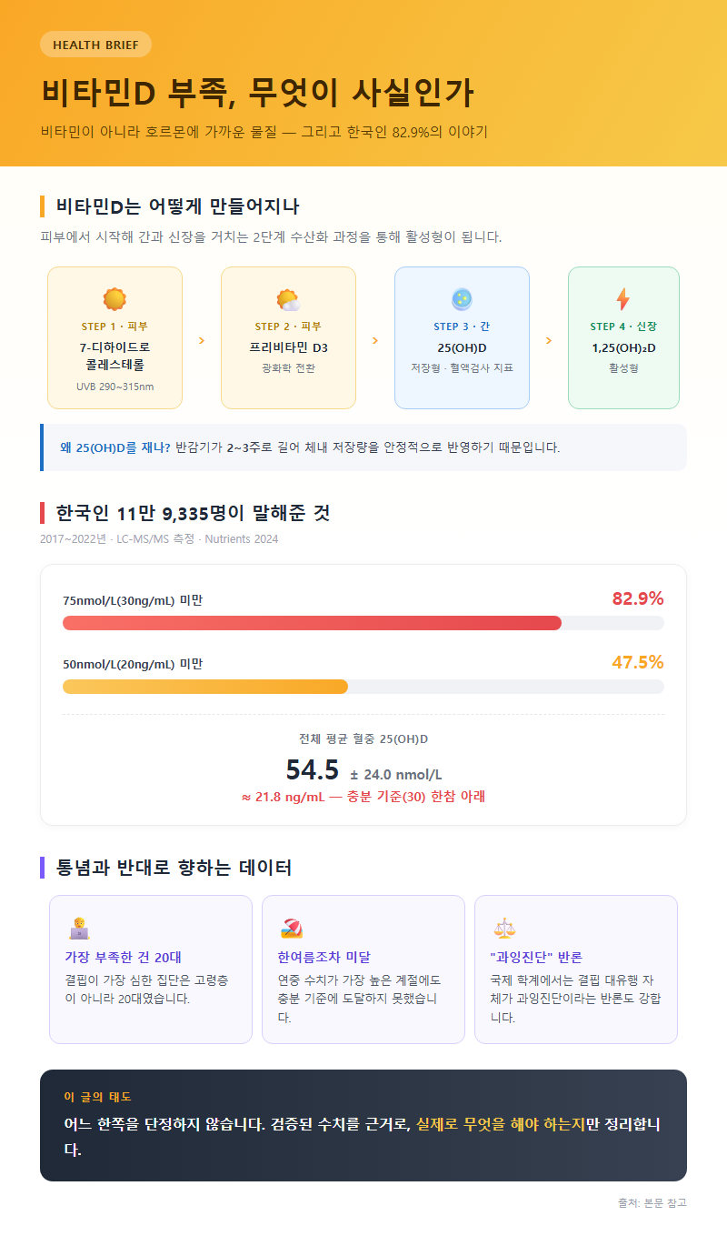 비타민D부족 개요