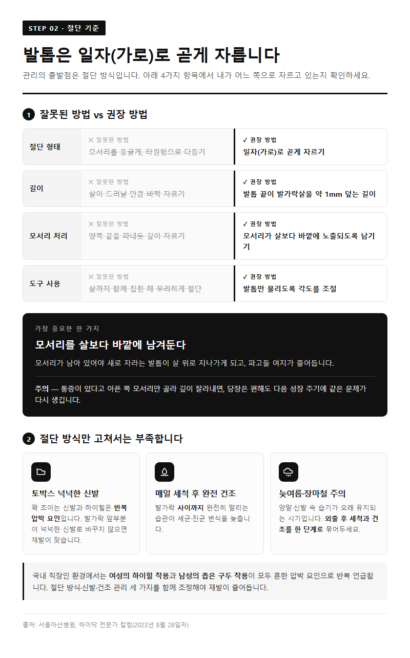 2. 발톱 깎는 법: 일자 절단이 기준입니다