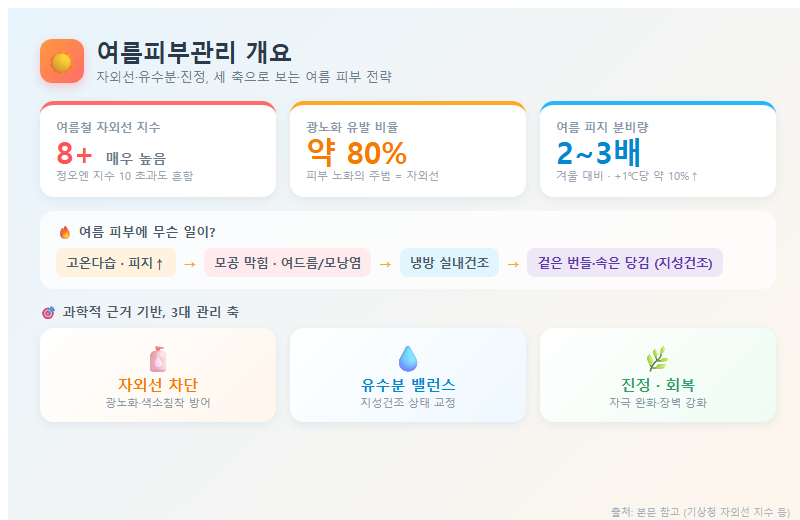 여름피부관리 개요